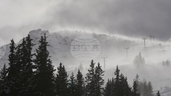 Прогноза за времето