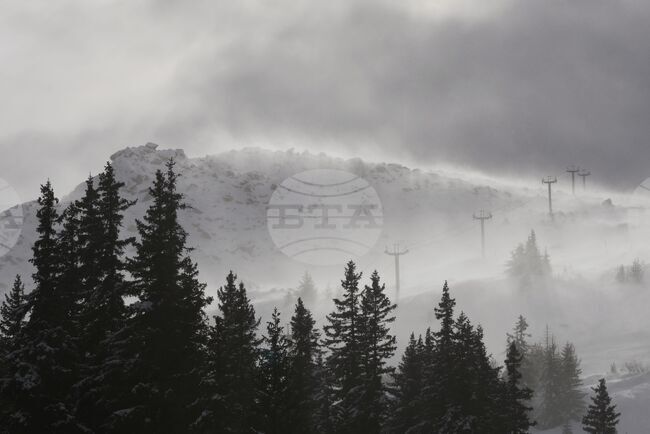 Прогноза за времето