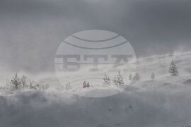 Витоша - зима - силен вятър