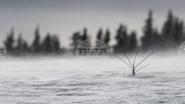 Прогноза за времето