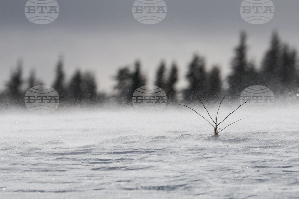 Витоша - зима - силен вятър