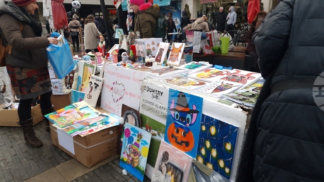 Благотворителен базар събра над 2173 евро в помощ на Общинския приют за безстопанствени кучета в Перник