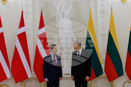 Lithuania Denmark Royals