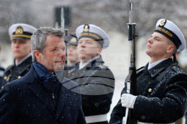 Lithuania Denmark Royals