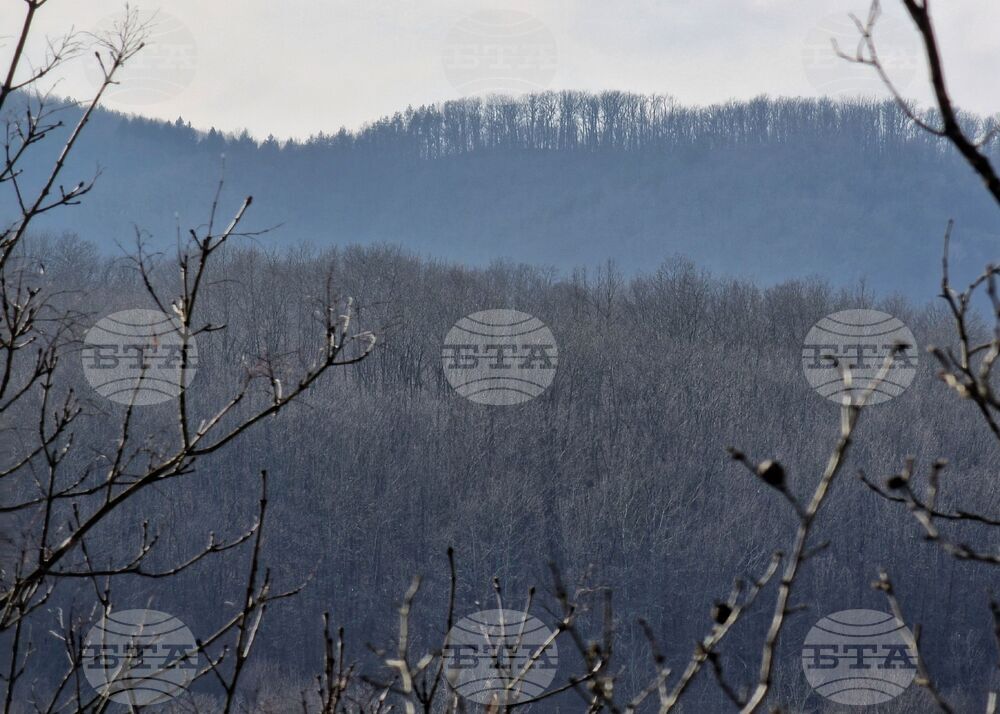 Прогноза за времето