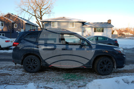 Immigration Enforcement Minnesota