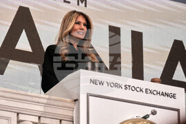 Financial Markets Wall Street Trump