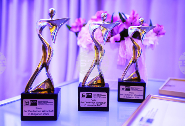 Германо-Българска индустриално-търговска камара - Награда на германската икономика 2025