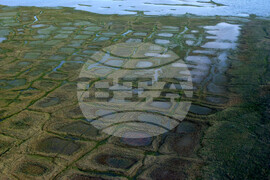 Arctic Drilling Alaska