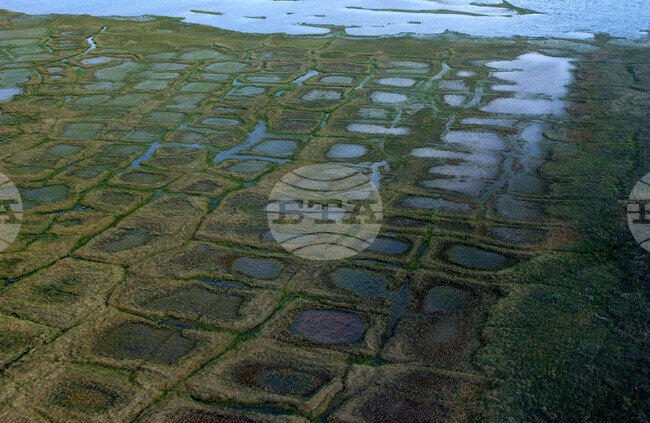 Arctic Drilling Alaska