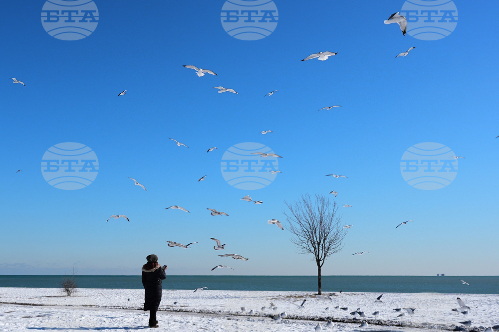 Winter Weather Chicago