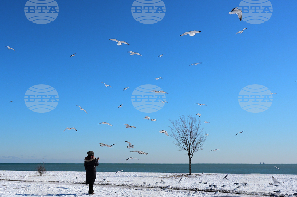 APTOPIX Winter Weather Chicago