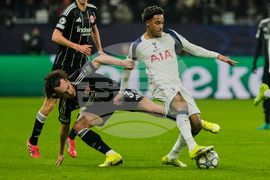 German Champions League Soccer