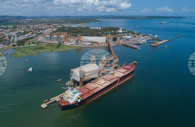 Brazil Amazon Indigenous Protest