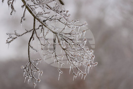 Winter Weather Tennessee