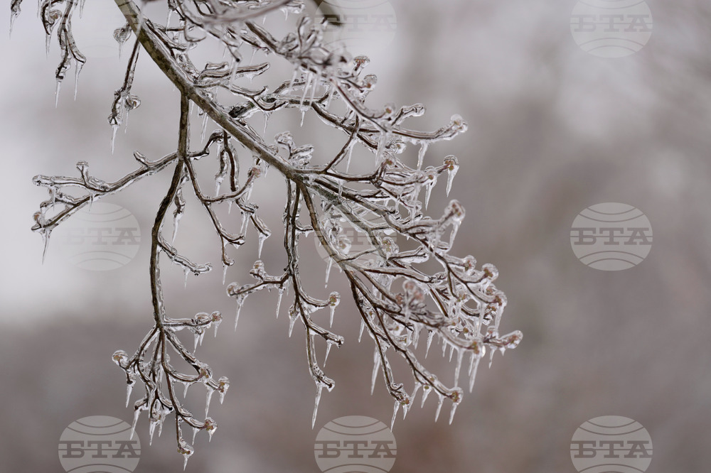 Winter Weather Tennessee