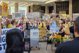 Hawaii Immigrant Protections