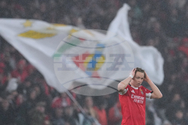 Portugal Champions League Soccer