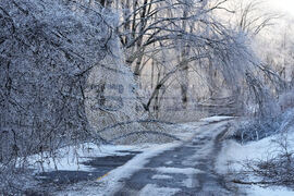 Winter Weather Tennessee