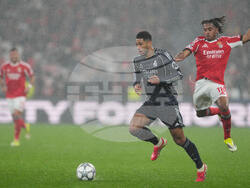 Portugal Champions League Soccer