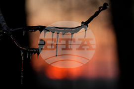 APTOPIX Winter Weather Tennessee