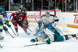 PWHL Torrent Charge Hockey