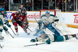 PWHL Torrent Charge Hockey