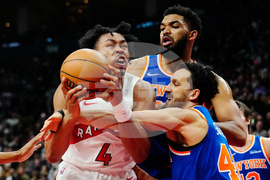 Knicks Raptors Hockey