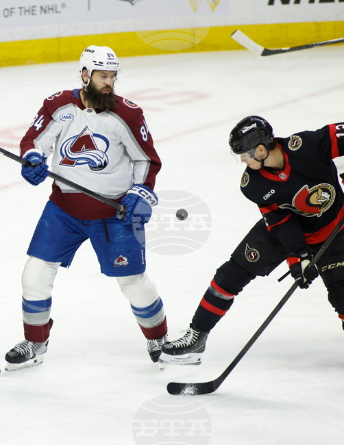 Avalanche Senators Hockey