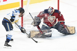 PWHL Sceptres Victoire Hockey