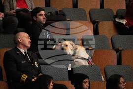 Washington Midair Collision