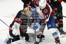 Avalanche Senators Hockey
