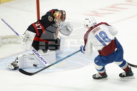 Avalanche Senators Hockey