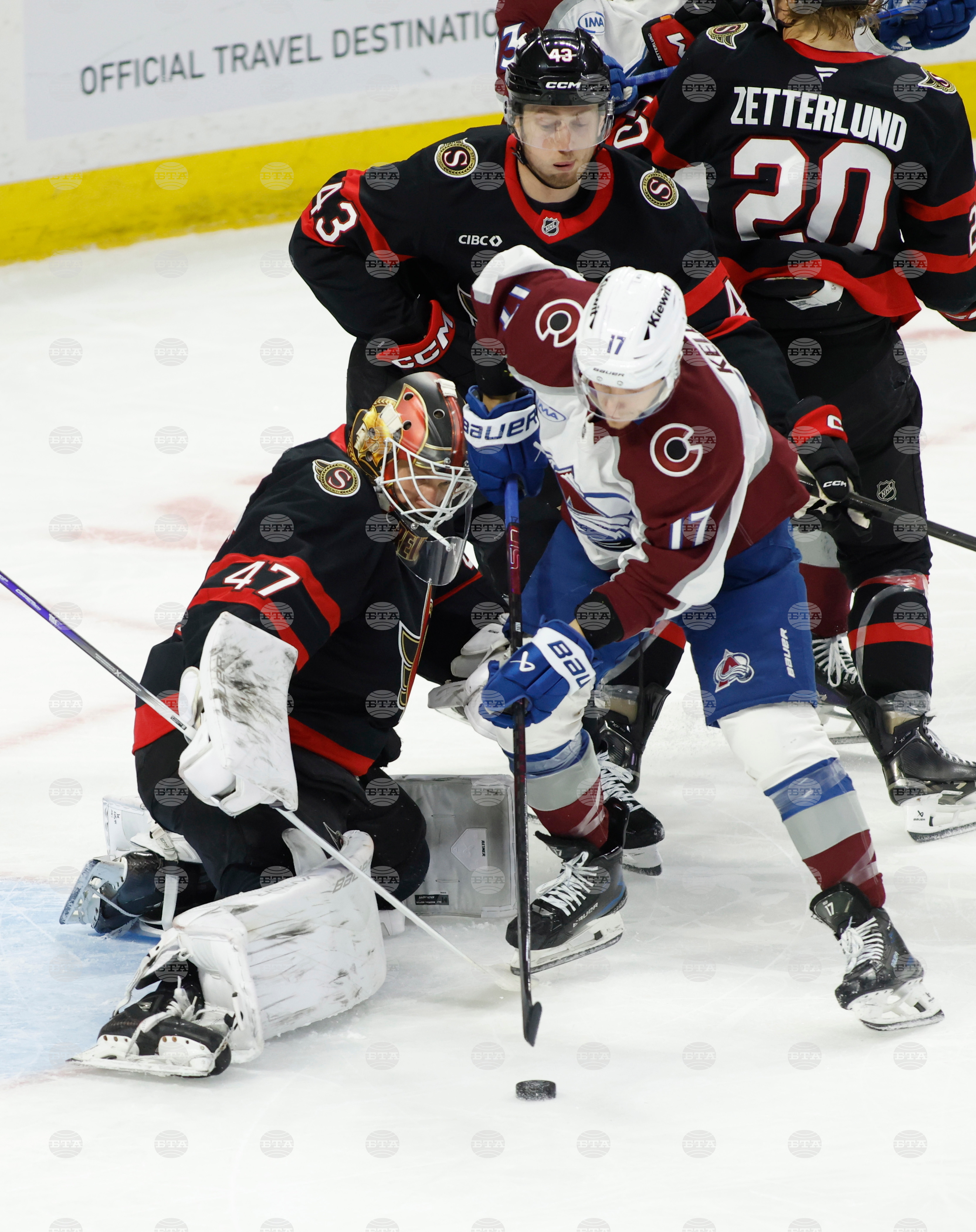 Avalanche Senators Hockey