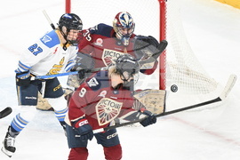 PWHL Torrent Charge Hockey