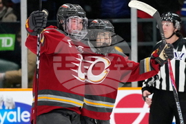 PWHL Torrent Charge Hockey