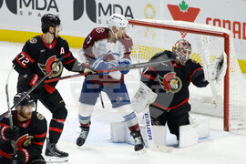 Avalanche Senators Hockey