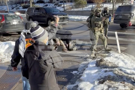 Immigration Enforcement Minnesota Pretti Videos