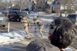 Immigration Enforcement Minnesota Pretti Videos