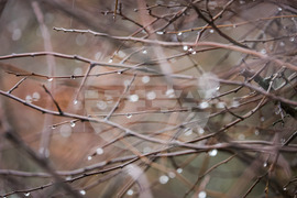 Бургас - дъжд