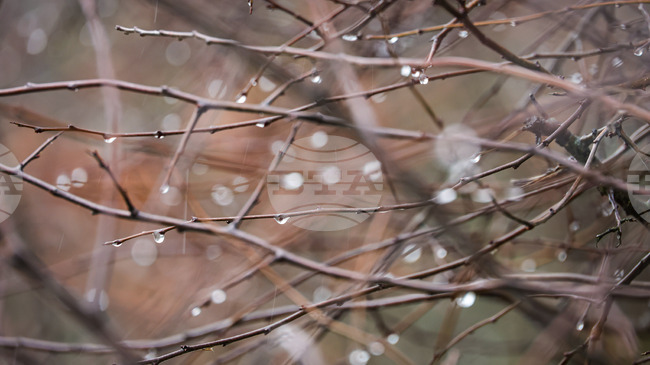 Прогноза за времето