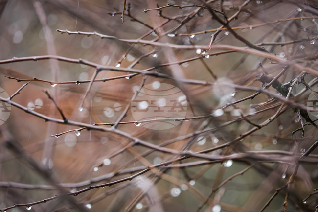 Прогноза за времето