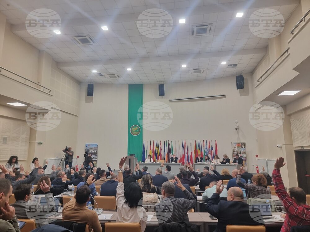 Общинските съветници в Стара Загора не взеха решение за бъдещето на паметника „Братска могила“