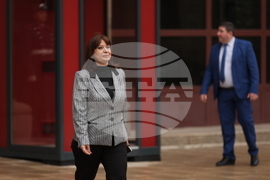 Велислава Делчева - изявление