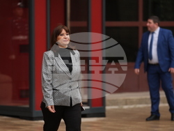 Велислава Делчева - изявление