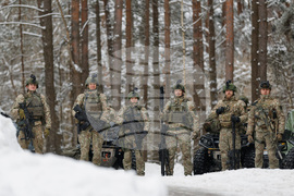 Lithuania Denmark Royals