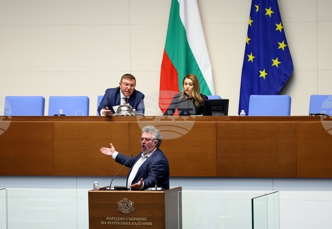 National Assembly Chair Imposes Reprimand on CC-DB MP Peikov for Disrupting Order, Later Removes Him from Sitting