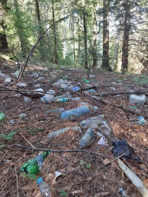 Екологично сдружение "За Земята": Законопроектът за държавна депозитна система трябва да се оттегли незабавно, противоречи на експертния консенсус