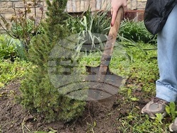 Снимка: Община Стара Загора