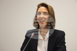 Европейски парламент - Валери Айе - пресконференция